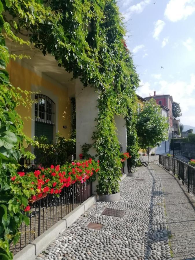Viewtiful Homestay Stazzona Eksteriør billede