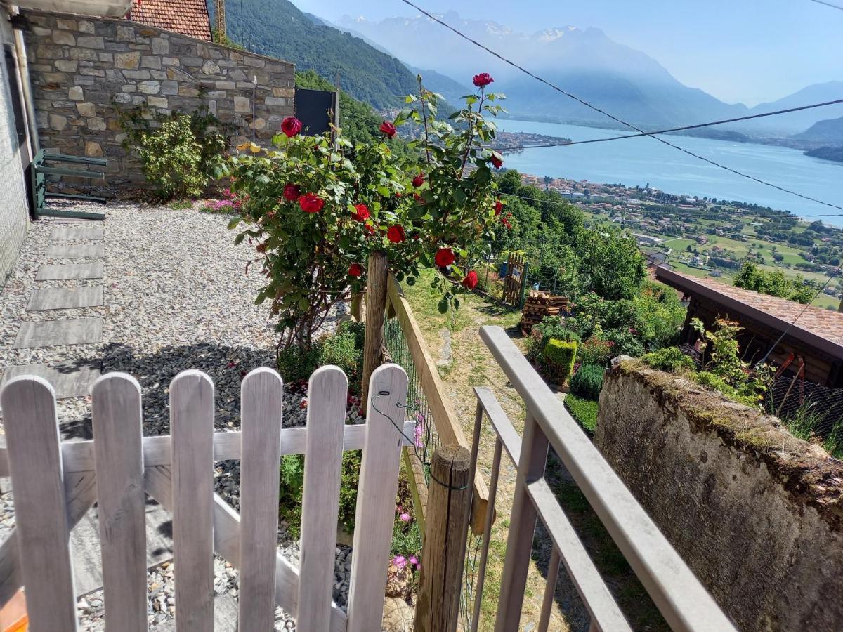 Viewtiful Homestay Stazzona Eksteriør billede