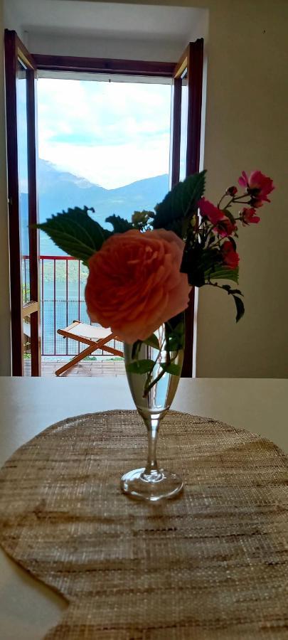 Viewtiful Homestay Stazzona Eksteriør billede